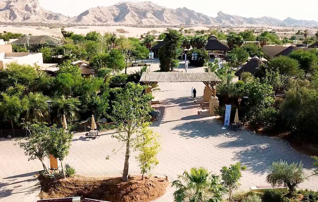 Al Ain Zoo offers free entry to residents aged 60 and above