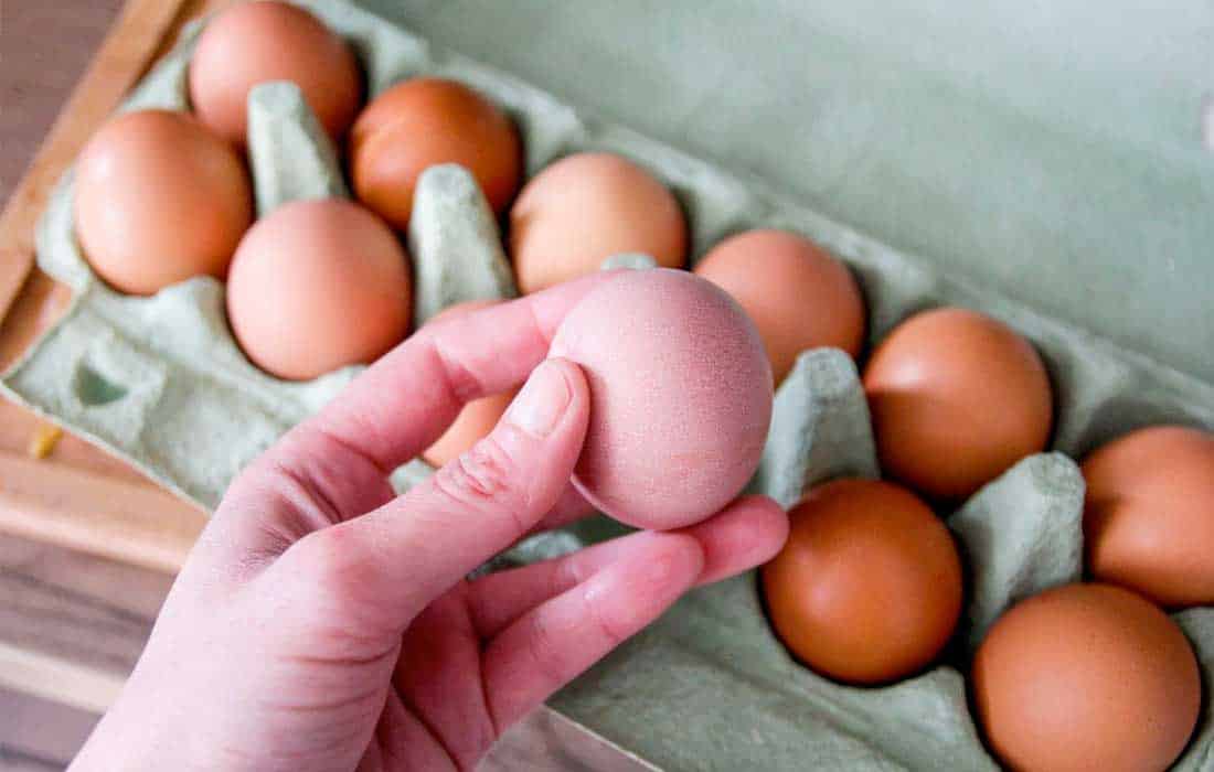 Egg prices US soar as bird flu cripples supply