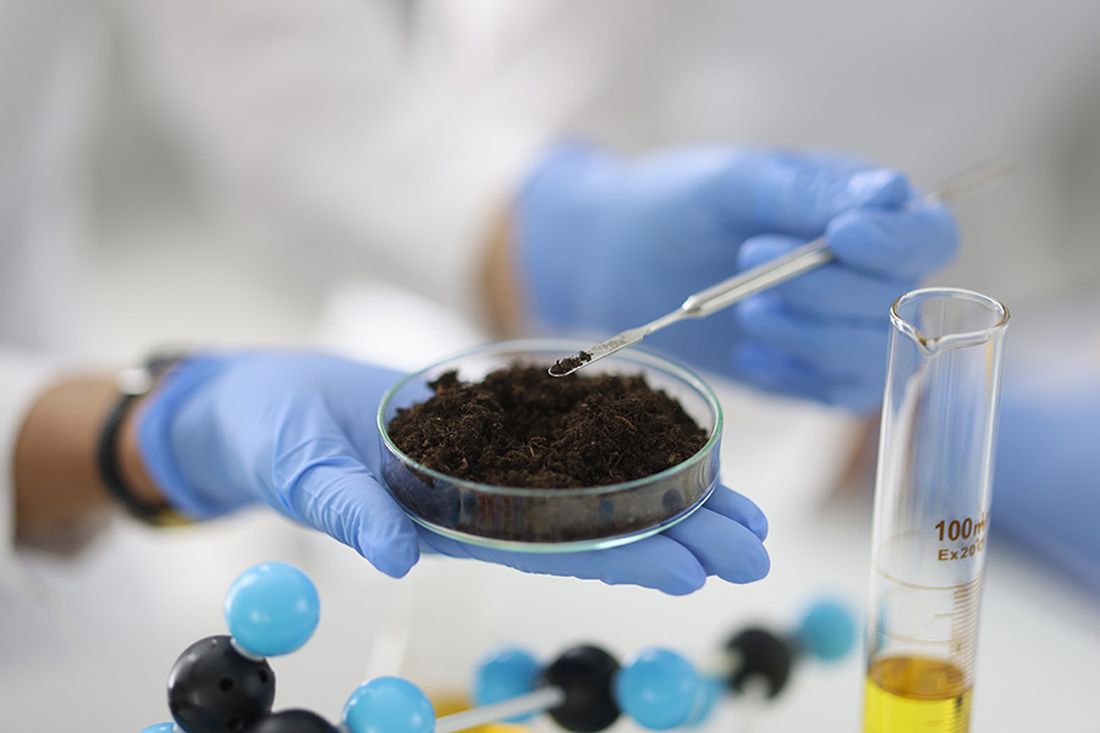 Microbes offer new hope for farming desert soils, research reveals