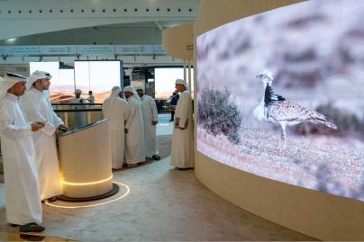 Houbara Conservation Fund to spotlight sustainability at ADIHEX 2025 in Abu Dhabi