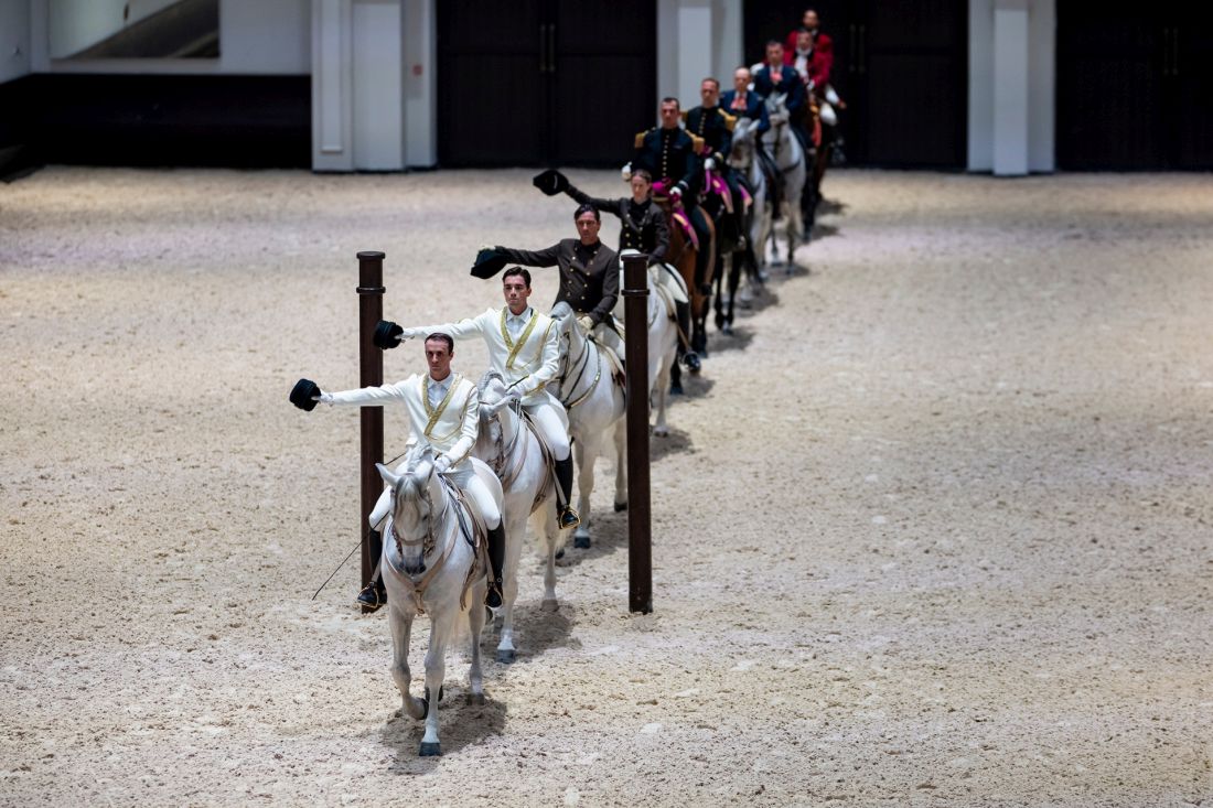 His Highness Sheikh Mansour bin Zayed Al Nahyan inaugurates “Abu Dhabi Royal Equestrian Arts” on Jubail Island