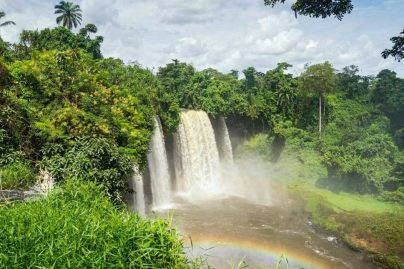 UAE and Nigeria launch joint tourism projects to strengthen cultural ties